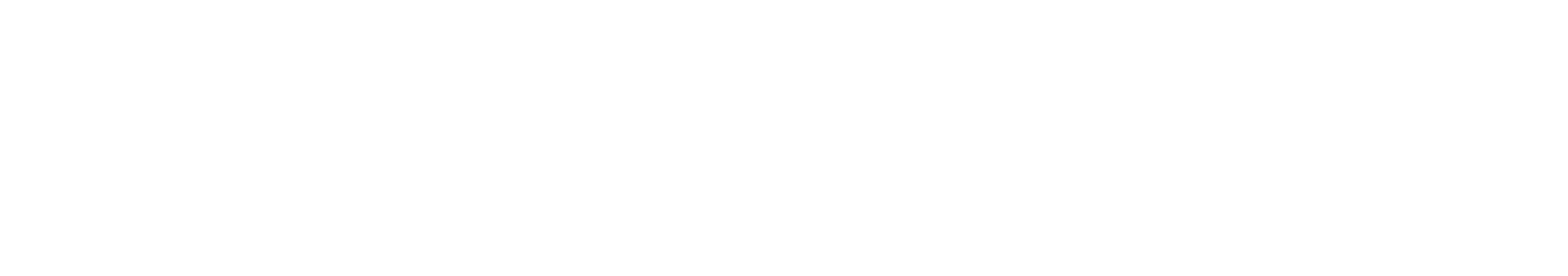 logo CACVSA